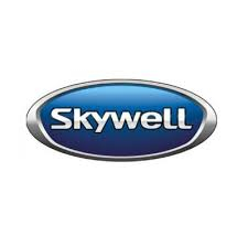 Skywell Car Logo PVD Coating & Polishing