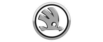 Skoda Car Logo PVD Coating & Polishing