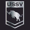 USSV Car Logo PVD Coating & Polishing