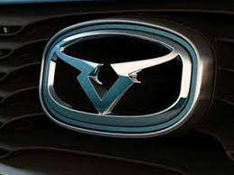 Cowin Car Logo PVD Coating & Polishing