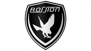 Rossion Car Logo PVD Coating & Polishing