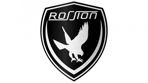 Rossion Car Logo PVD Coating & Polishing