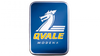 Qvale Car Logo PVD Coating & Polishing