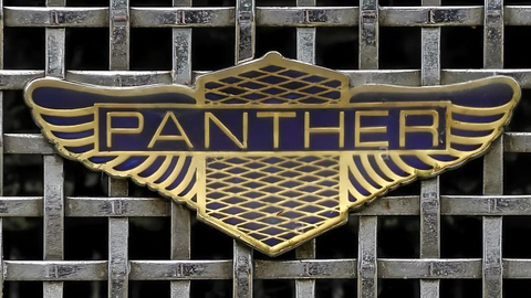 Panther Car Logo PVD Coating & Polishing