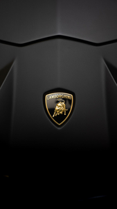 Lamborghini Car Logo PVD Coating & Polishing