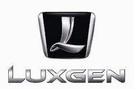 LUXGEN Car Logo PVD Coating & Polishing