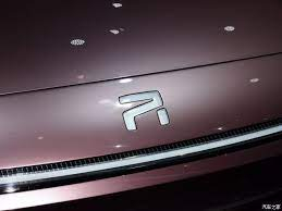 Rising auto Car Logo PVD Coating & Polishing