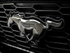 Mustang Car Logo PVD Coating & Polishing