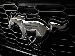 Mustang Car Logo PVD Coating & Polishing