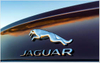 Gaguar Car Logo PVD Coating & Polishing