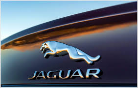 Gaguar Car Logo PVD Coating & Polishing