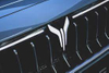 Vorah Car Logo PVD Coating & Polishing