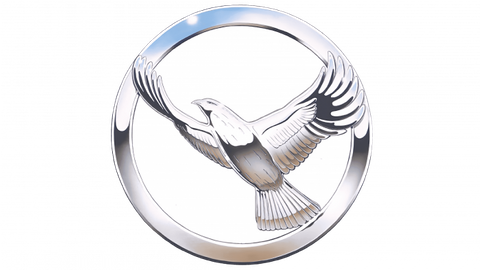 Hawk Car Logo PVD Coating & Polishing