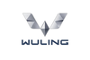 Wuling Car Logo PVD Coating & Polishing