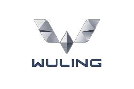 Wuling Car Logo PVD Coating & Polishing