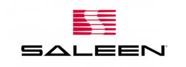 Saleen Car Logo PVD Coating & Polishing