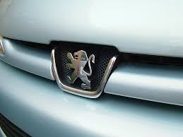 Peugeot Car Logo PVD Coating & Polishing